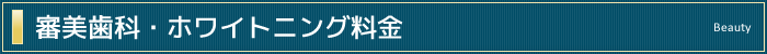 審美歯科・ホワイトニング料金