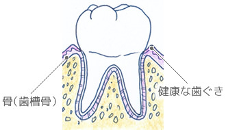 健康な状態